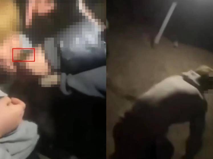 皇冠信用網登3代理
_16岁男生遭多人欺辱殴打皇冠信用網登3代理
,被逼跪地爬行学狗叫,警方:社会青年之间矛盾引起,已立案调查