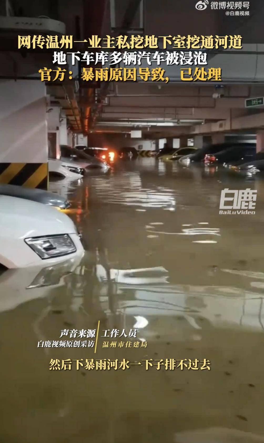 冈山绿短 vs 名古屋鲸鱼_温州一业主私挖地下室导致河水涌入车库冈山绿短 vs 名古屋鲸鱼？当地辟谣：假消息