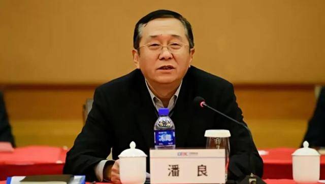 世界杯足球平台代理_打虎！69岁潘良被查世界杯足球平台代理，系国务院国资委原副部级干部