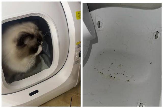 皇冠信用网登123出租_AI养宠神器皇冠信用网登123出租，收割年轻人