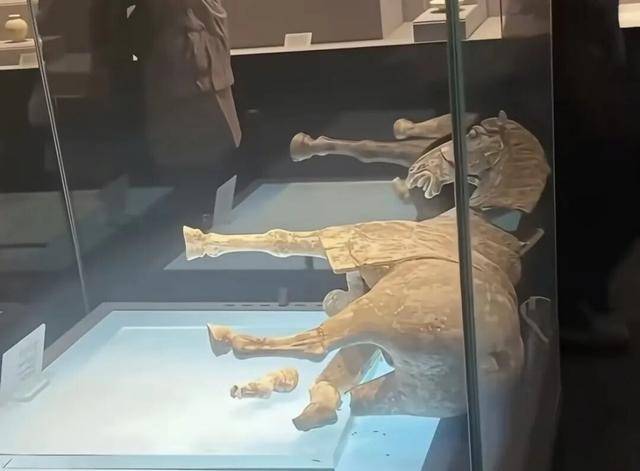 皇冠信用网平台_唐代彩绘陶马倾倒皇冠信用网平台，洛阳博物馆回应！